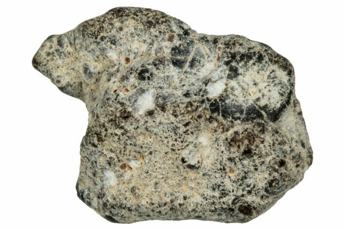 Lunar Meteorite ( g) - NWA #303757